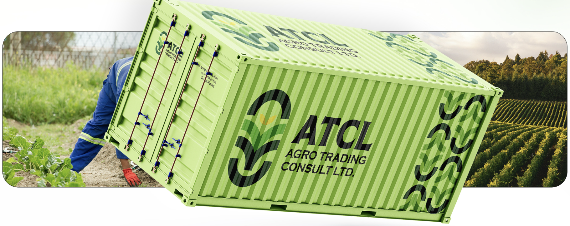 Export logistics